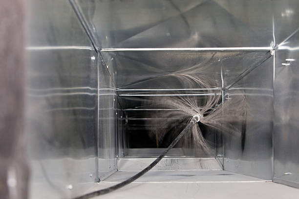 Best Air Duct Mold Removal  in Pittsburgh, PA